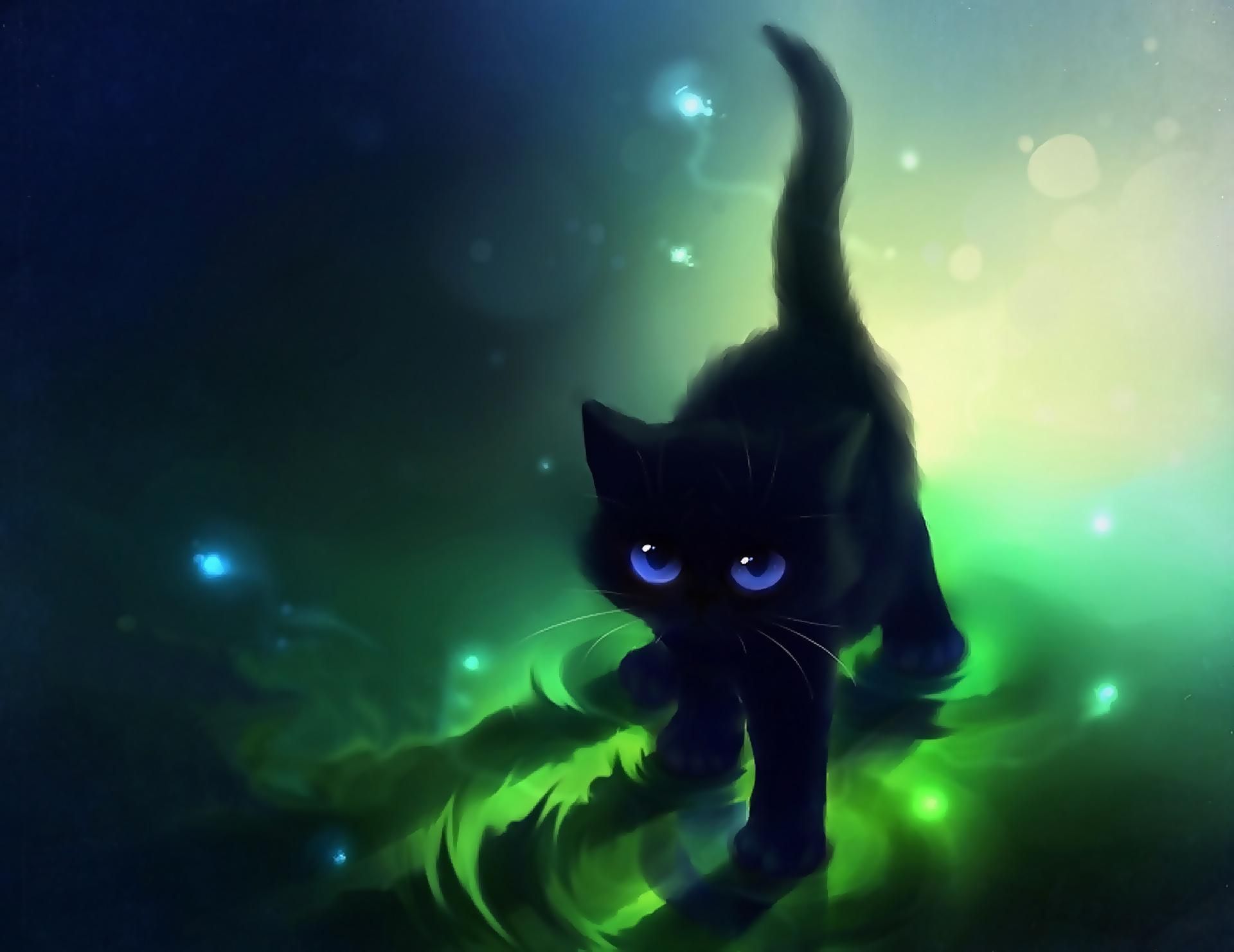Black Cat With Blue Eyes >> HD Wallpaper, get it now!