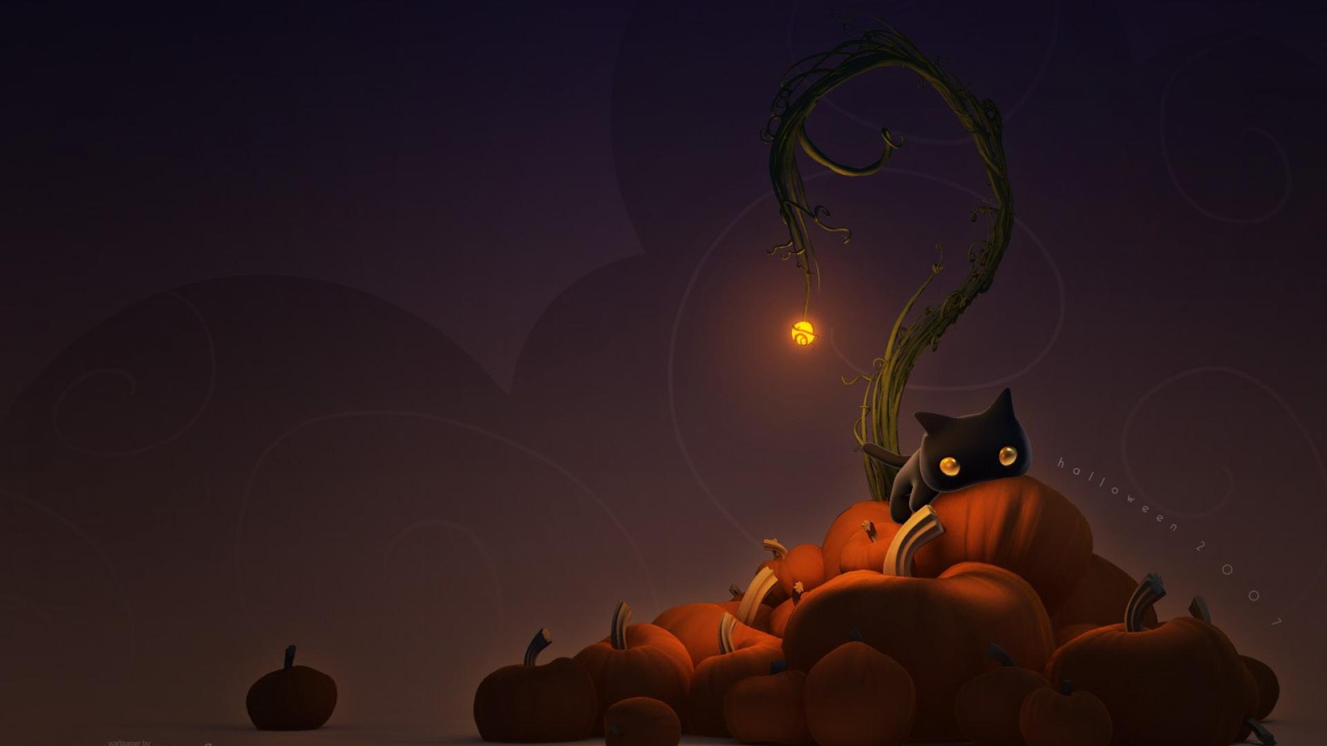 coco standard halloween pumpkins moon black cat HD Wallpaper ...