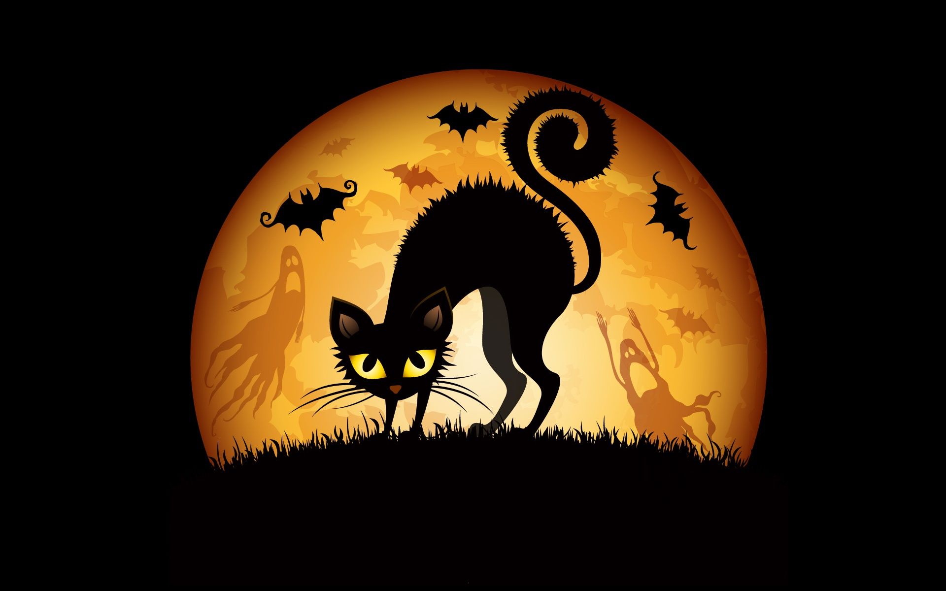 Halloween Cats Bats Wallpapers | HD Wallpapers