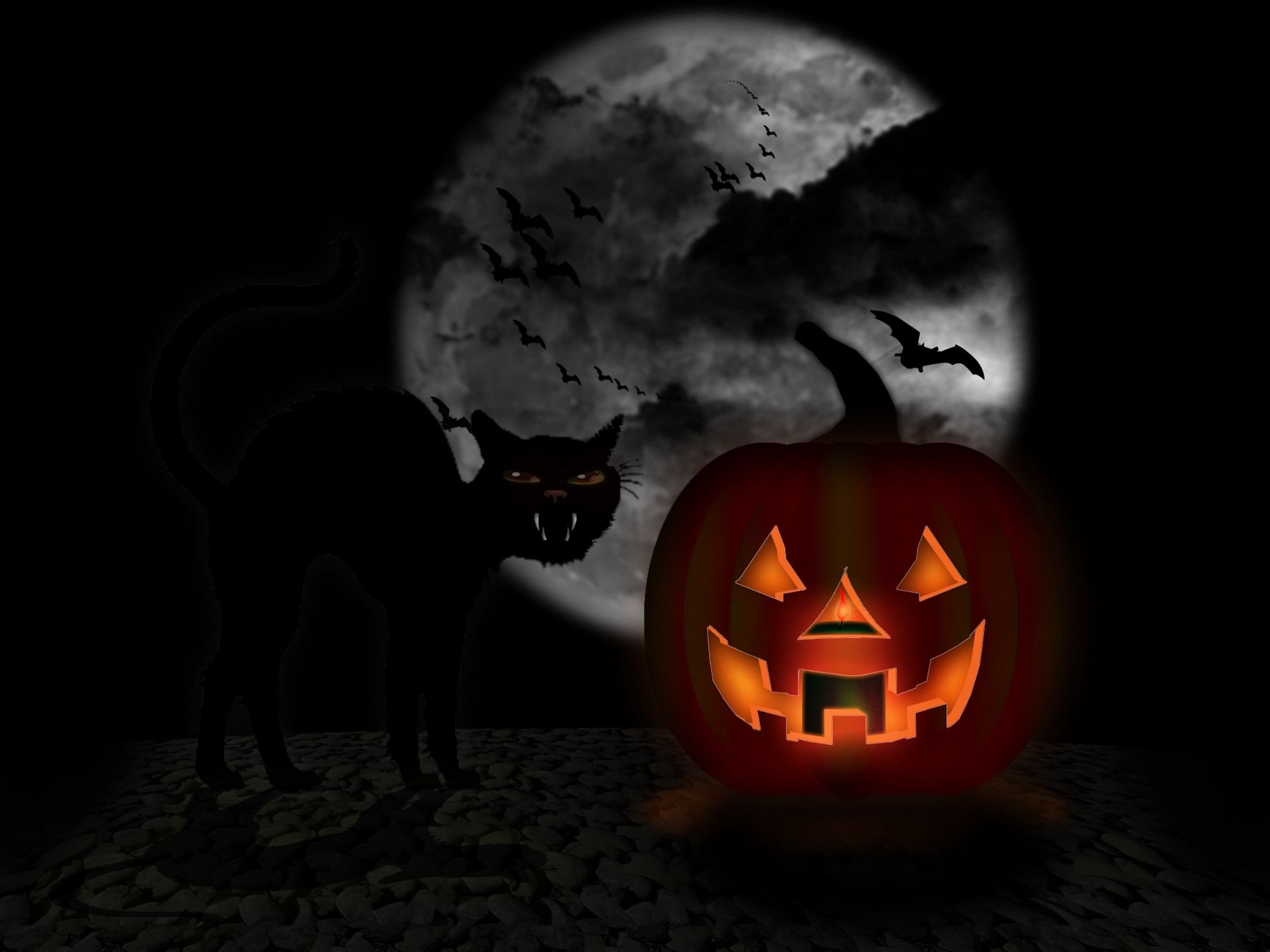 Black Cat and Jack-o-lantern desktop wallpaper