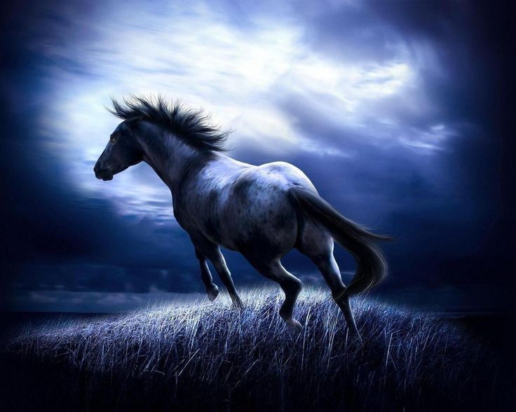 3D Wallpaper Pictures, Horse 3d Desktop Wallpapers and Pictures