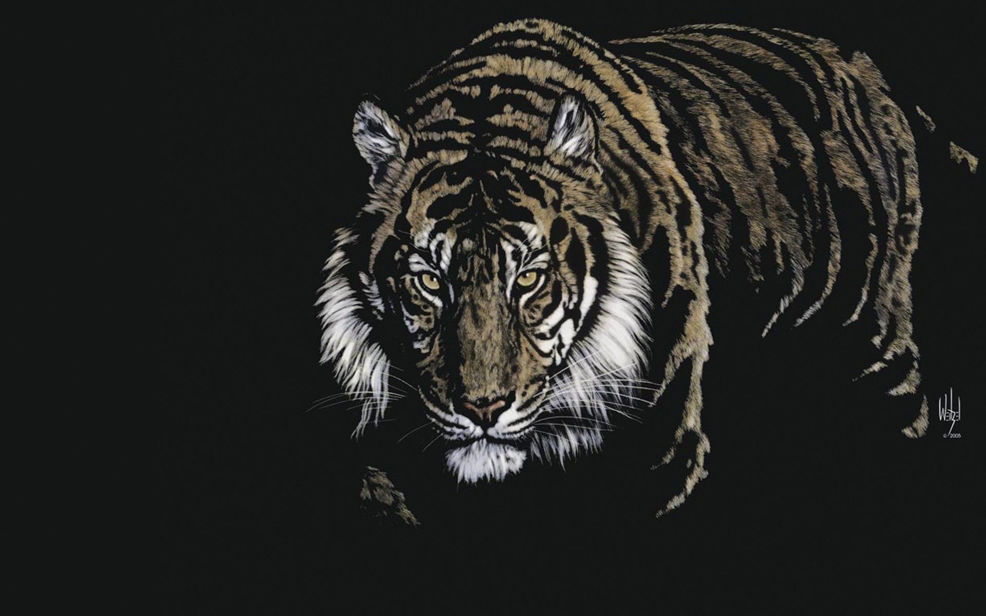 Wild Animals 3D Wallpapers HD Download