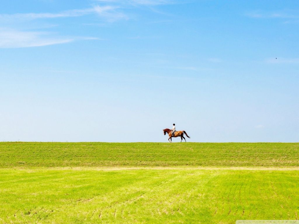 Horse Riding HD desktop wallpaper : High Definition : Fullscreen ...