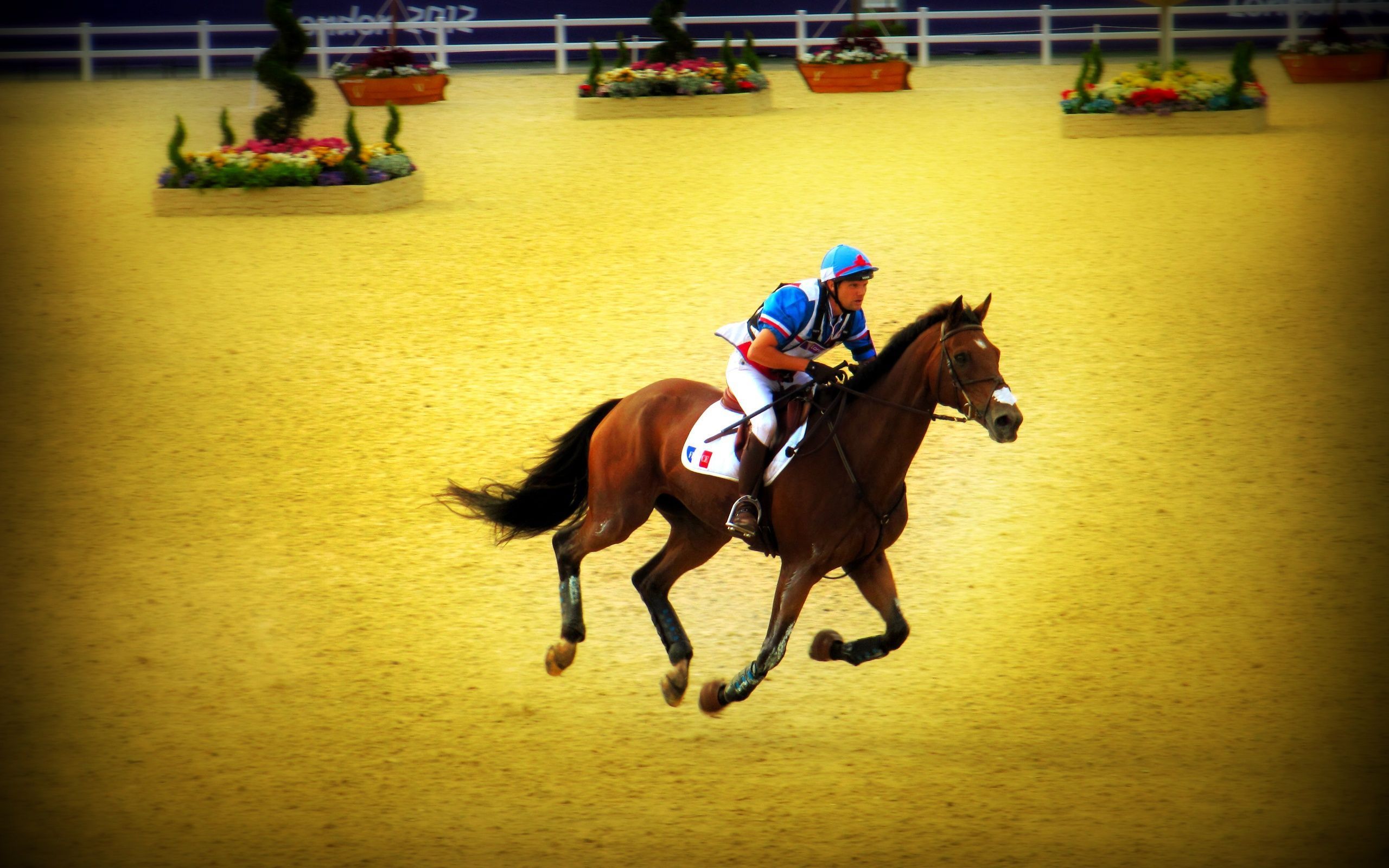 Horse Riding Sport Photo and Desktop Wallpaper