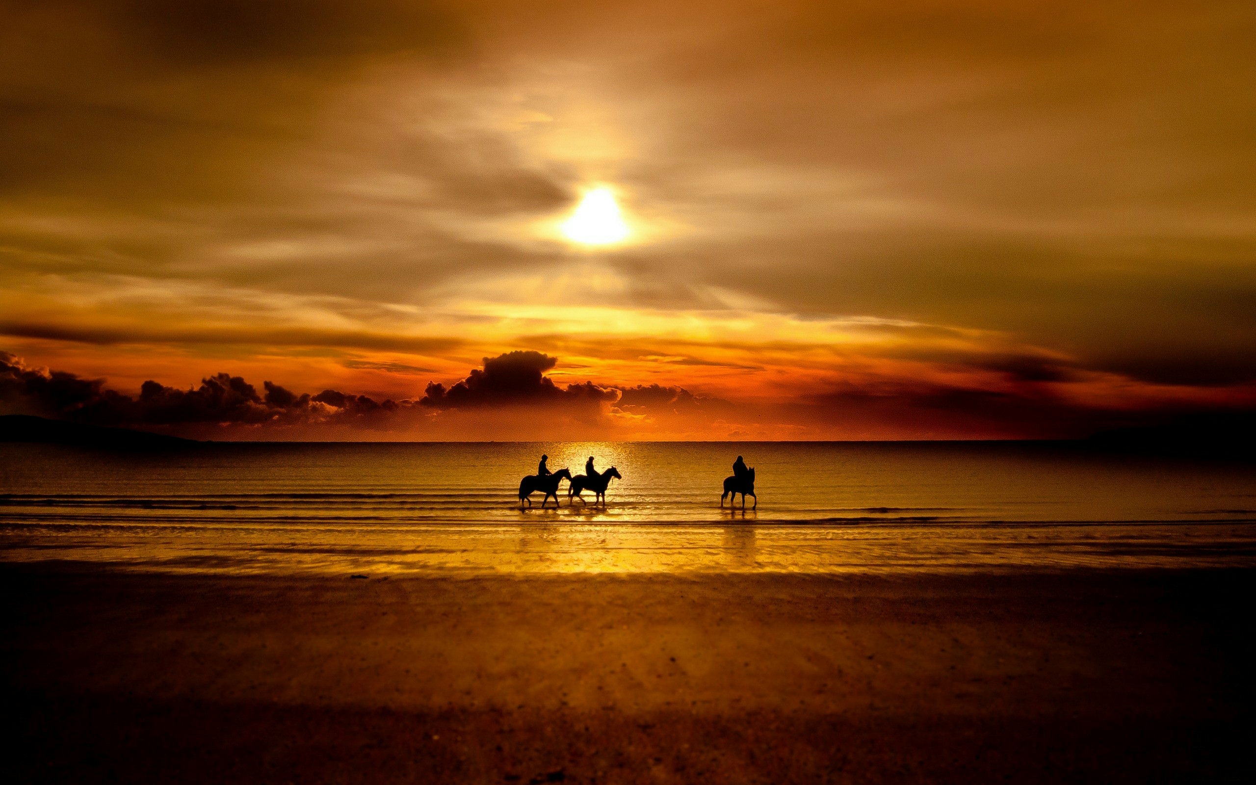 Horse riding wallpapers and images - wallpapers, pictures, photos