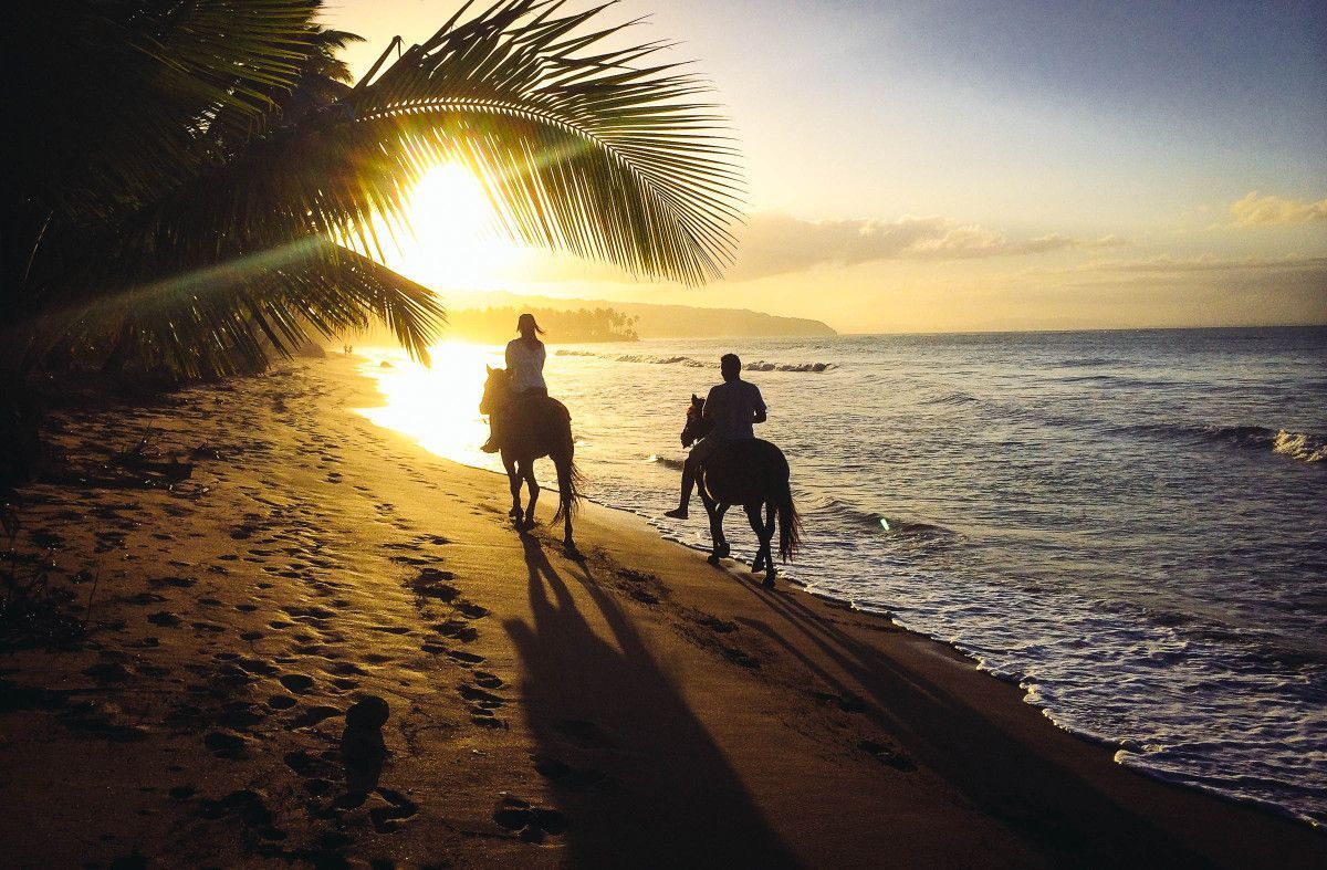 Caribbean Wallpaper: Horseback Riding And The Perfect Beach Sunset ...