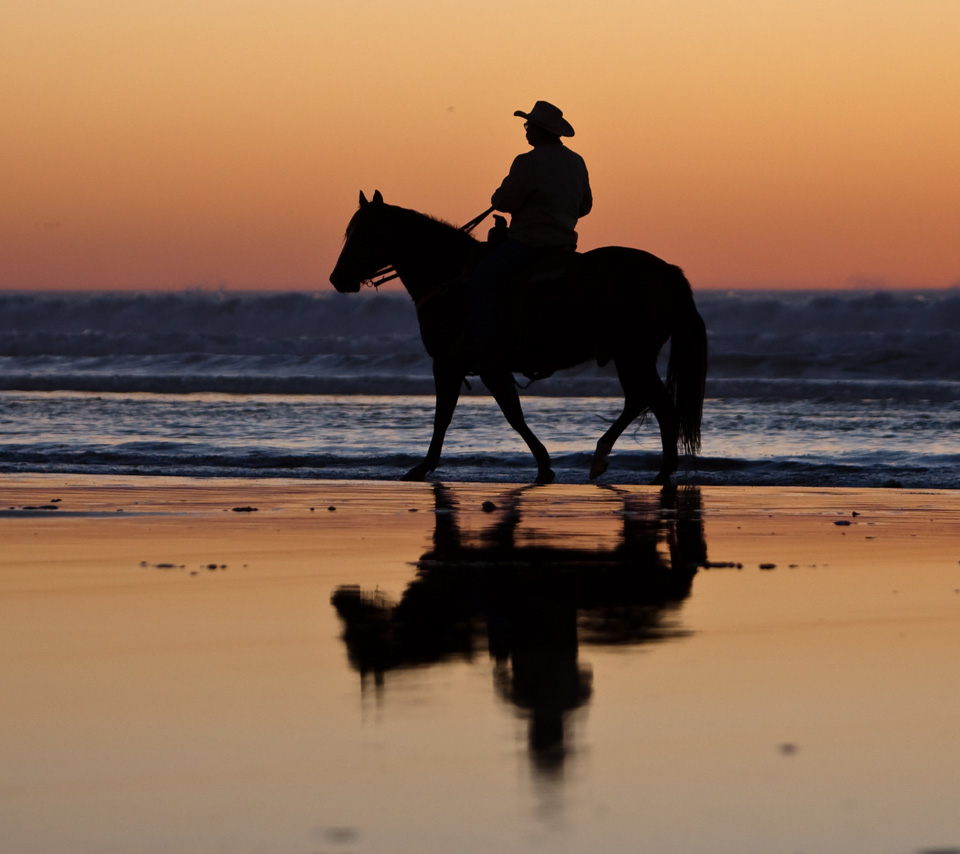 Riding Horse At Beach - Flikie Wallpapers