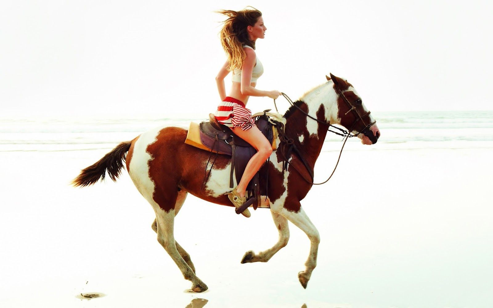 Girl riding horse on the beach | HD Animals Wallpapers