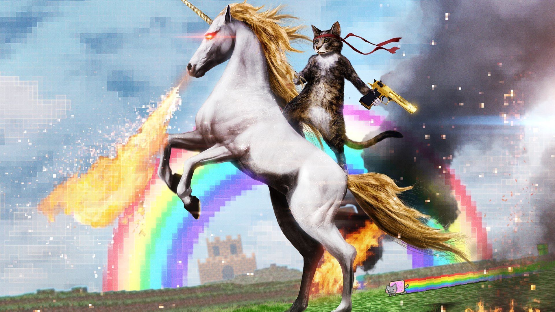 Cat Riding A Horse HD Wallpaper | 1920x1080 | ID:46732