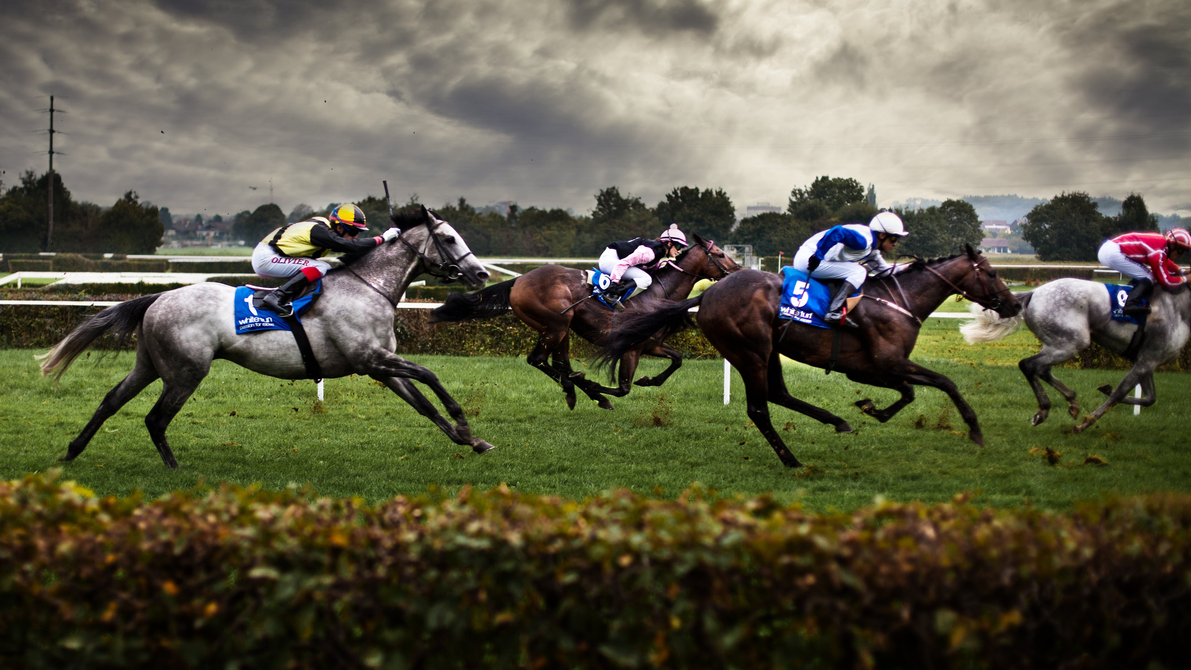 Horse racing uhd wallpapers - Ultra High Definition Wallpapers ...