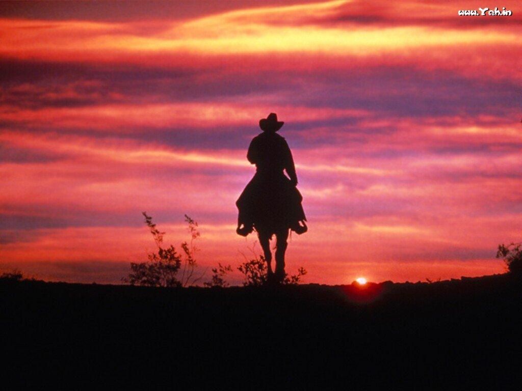 Nature | Riding Horse Into Sunset | Sunsets Wallpapers - yah.in