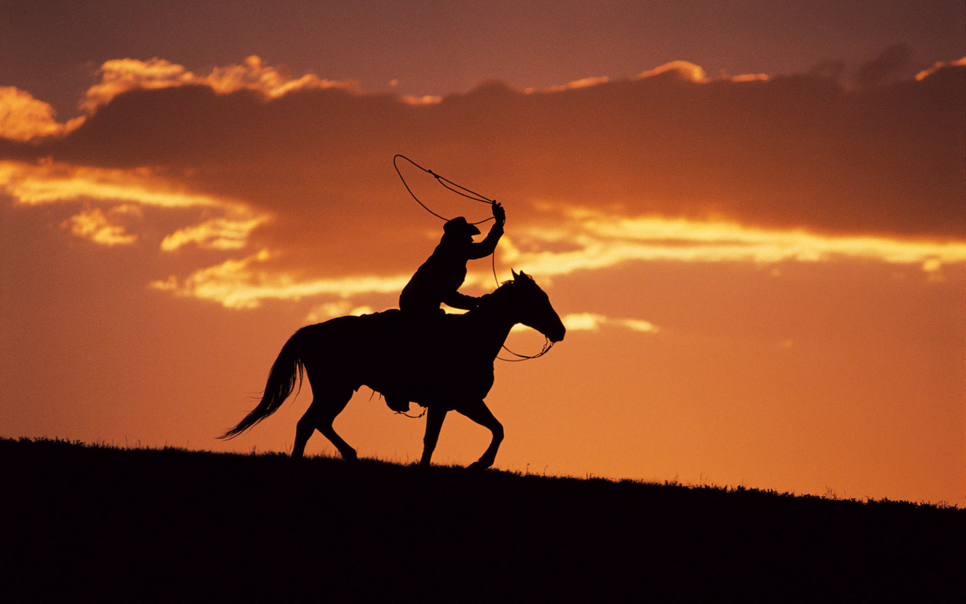 Horse riding at sunset | desktop wallpapers - Picture for ...