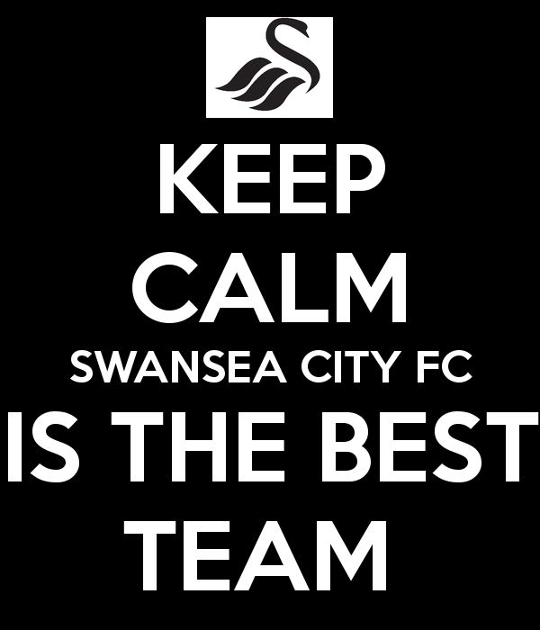 Swansea City | Swansea City Football Club | Pinterest