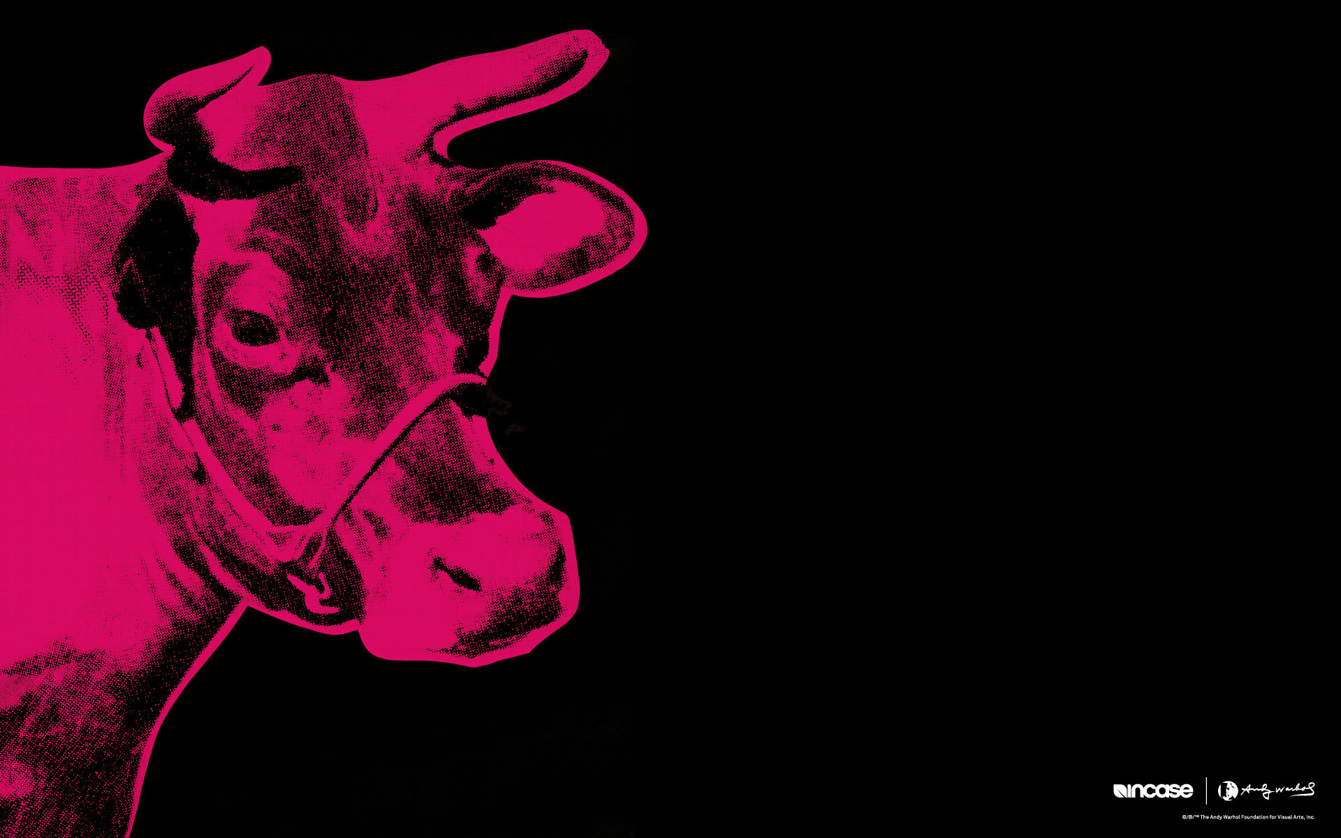 The painting of Andy Warhol red cow on black background wallpapers