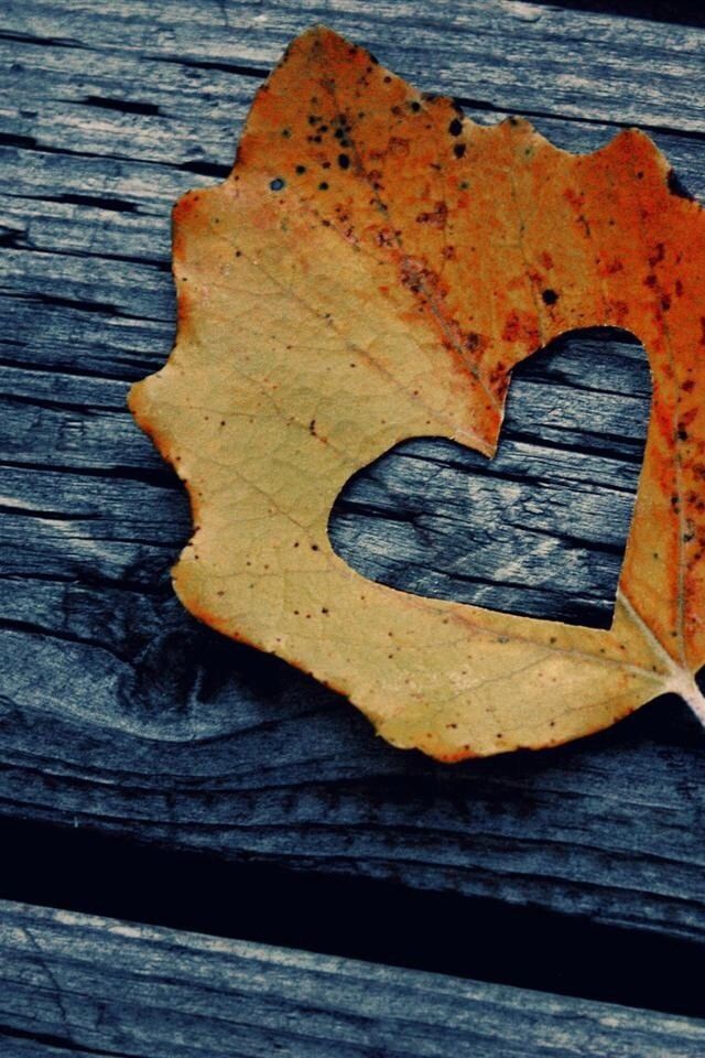 Rustic Fall Leaf Heart iPhone wallpaper | Phone Wallpapers ...