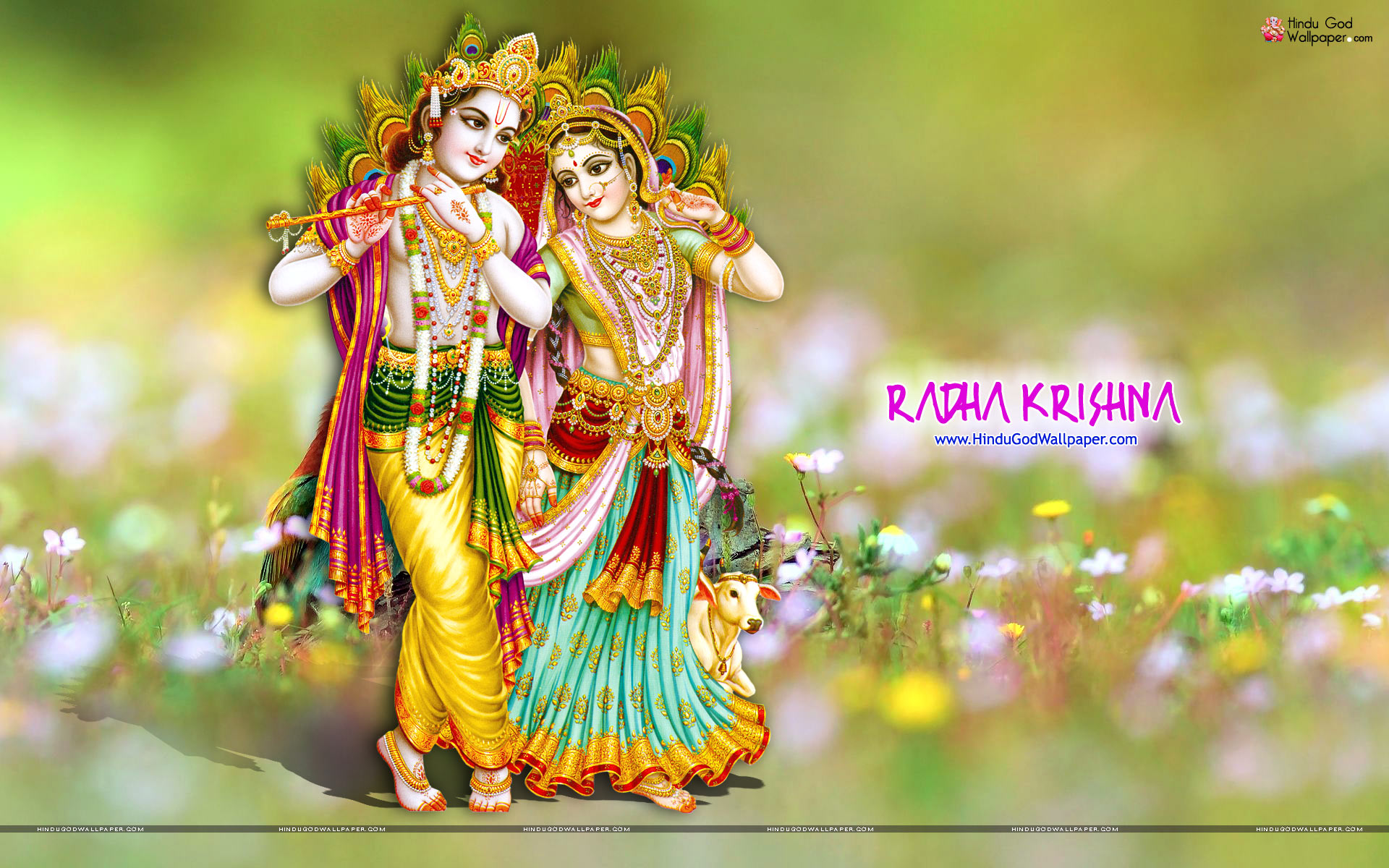 radha krishna images and wallpaper Download