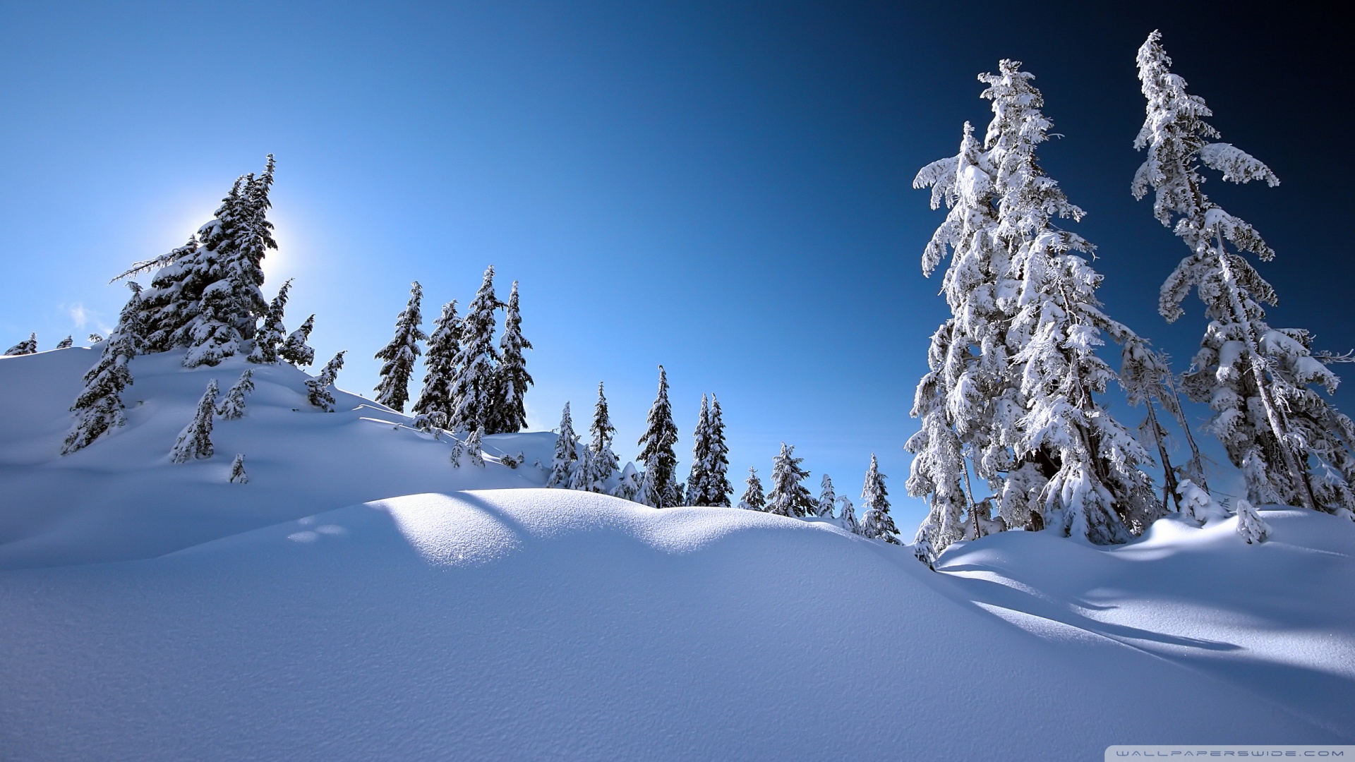 Download Beautiful Winter Scenery 2 Wallpaper 1920x1080