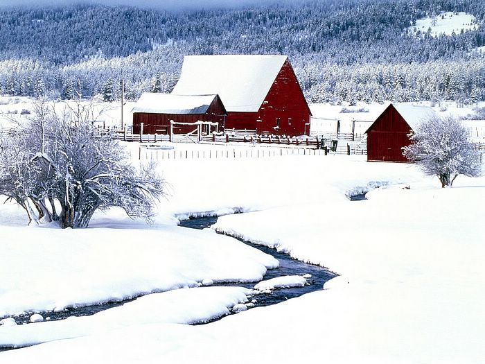 Winter wondrland : Amazing winter & Snow photography - Wallcoo.net