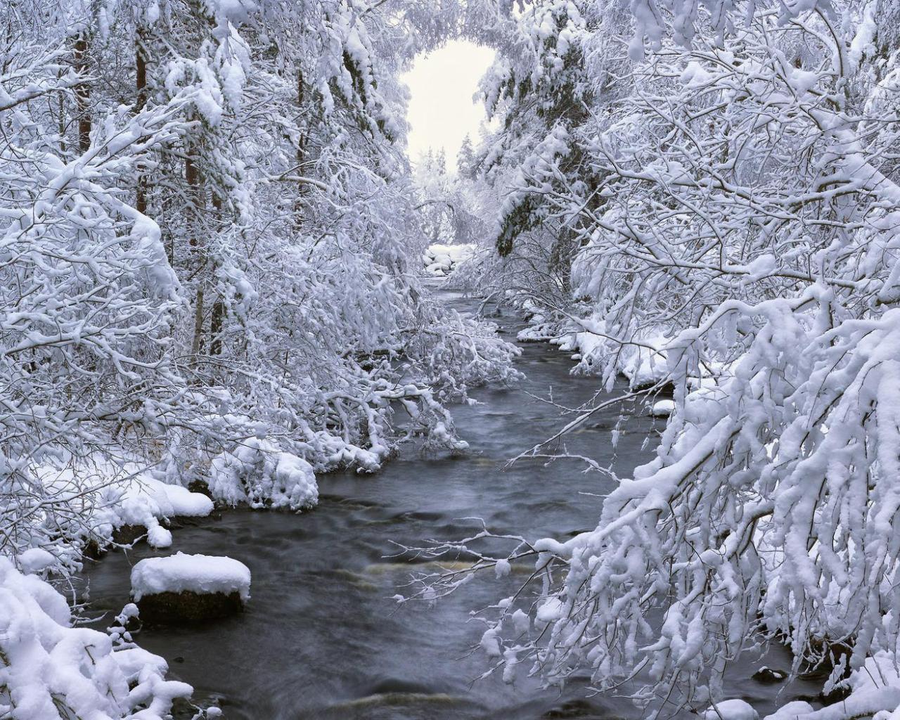 Beautiful winter scene wallpaper - HQ Desktop