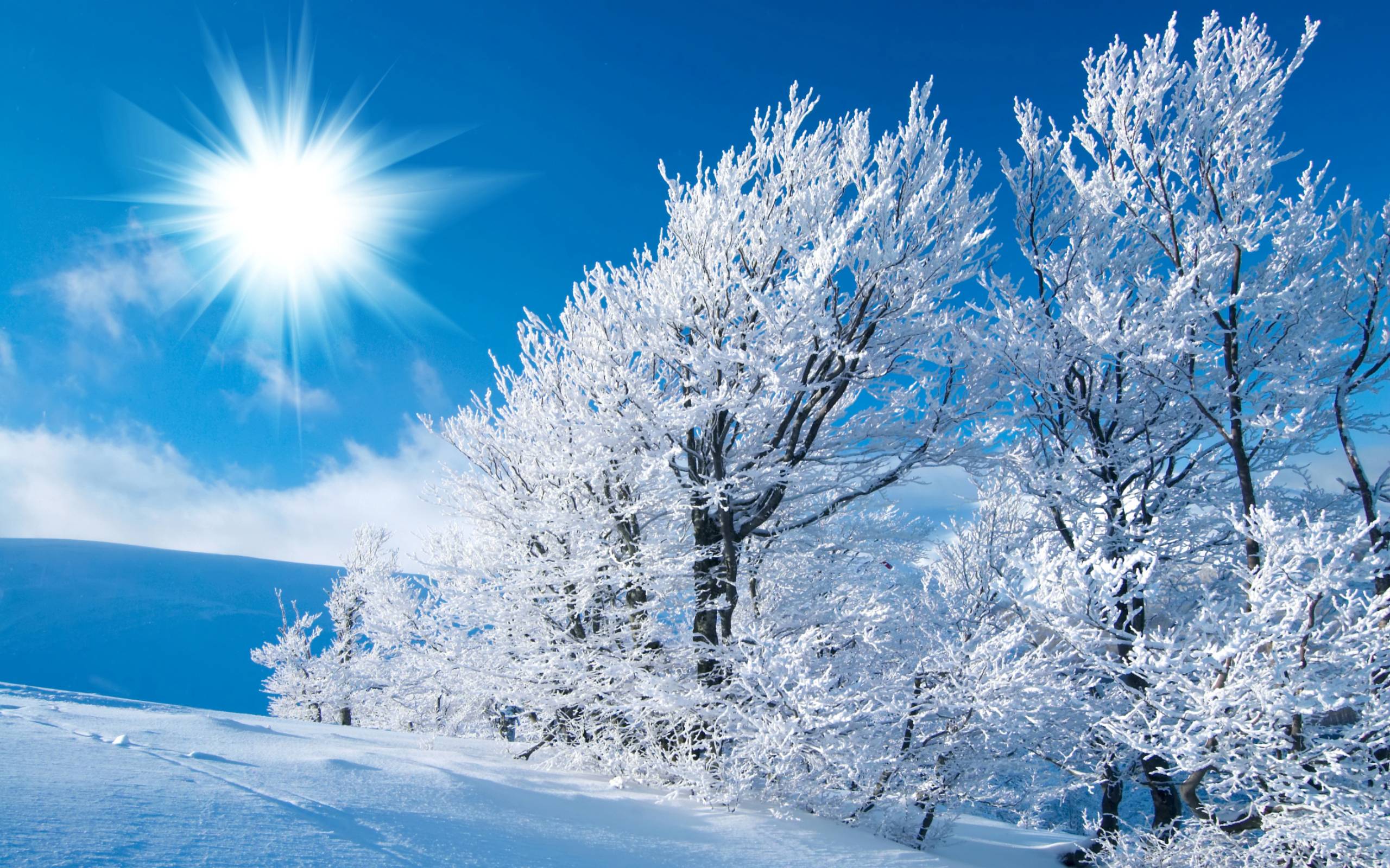Free Winter Backgrounds Wallpapers - Wallpaper Cave