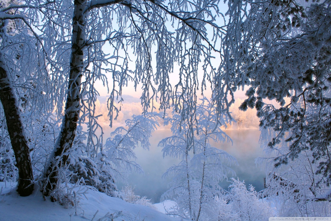 Beautiful Winter Scenery (id: 49246) – BUZZERG