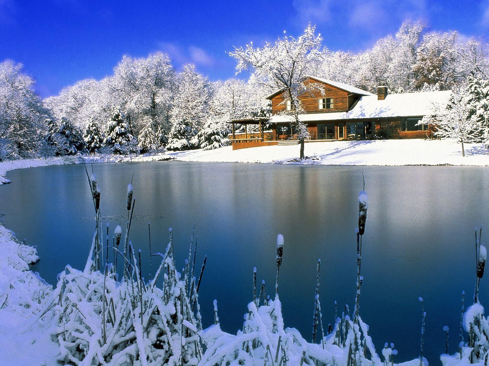 Winter Landscape Wallpaper Full HD | Wallpapers, Backgrounds ...