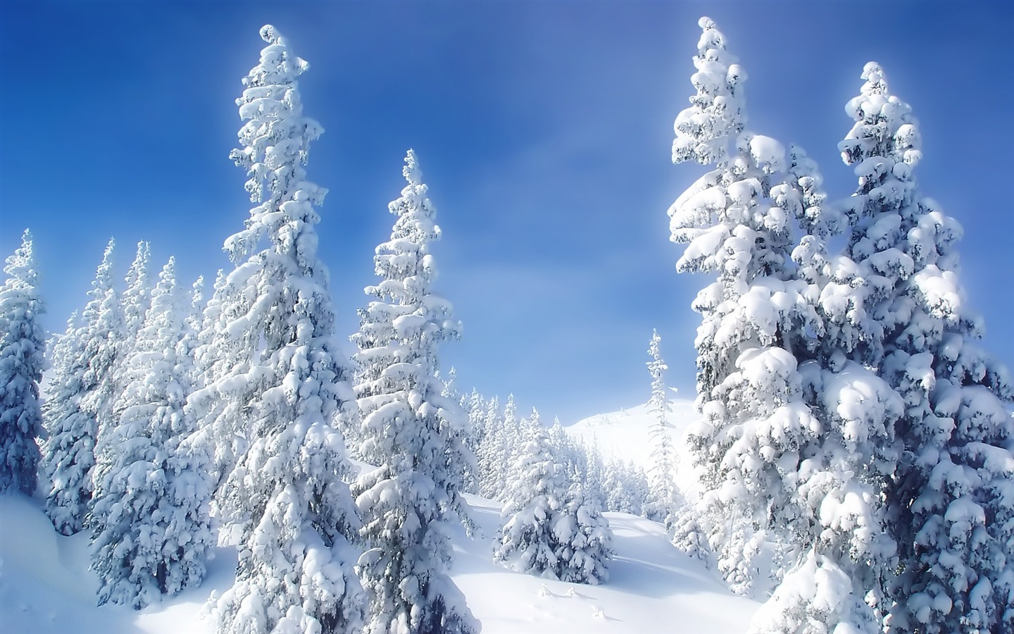 Beautiful Snow Landscapes Wallpaper | Free Best Hd Wallpapers