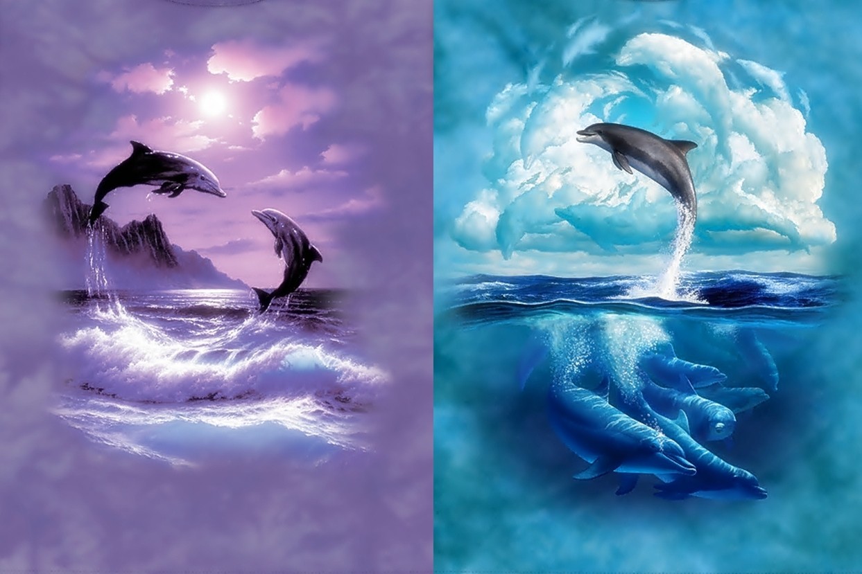 Dolphins Animals Sea Collages Romancing Moon Shirt Horz Dolphins
