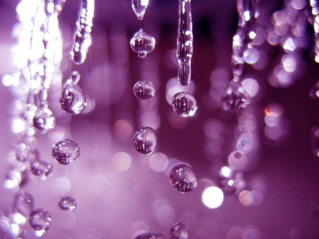 Purple rain Flickr - Photo Sharing