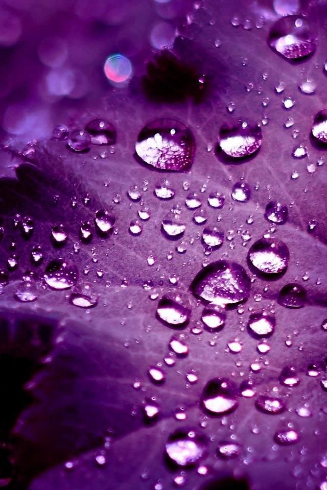 purple rain | Backgrounds for my phone! | Pinterest | Phone ...