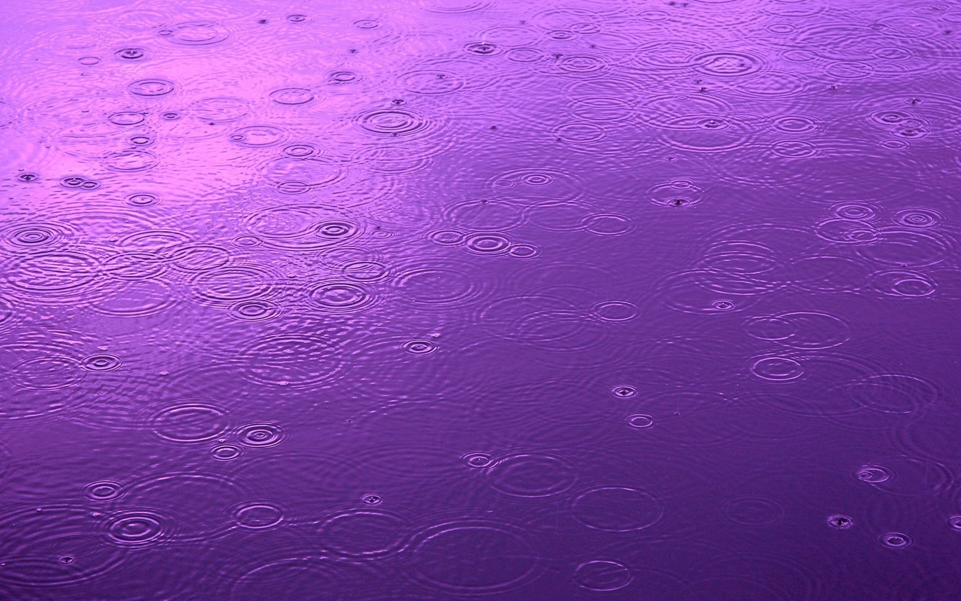 66 Raindrop HD Wallpapers | Backgrounds - Wallpaper Abyss