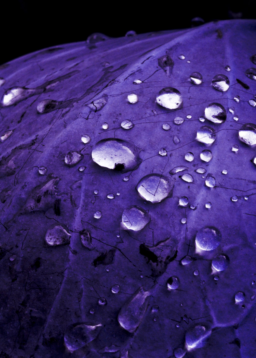 Purple rain shower by mondkrater on DeviantArt