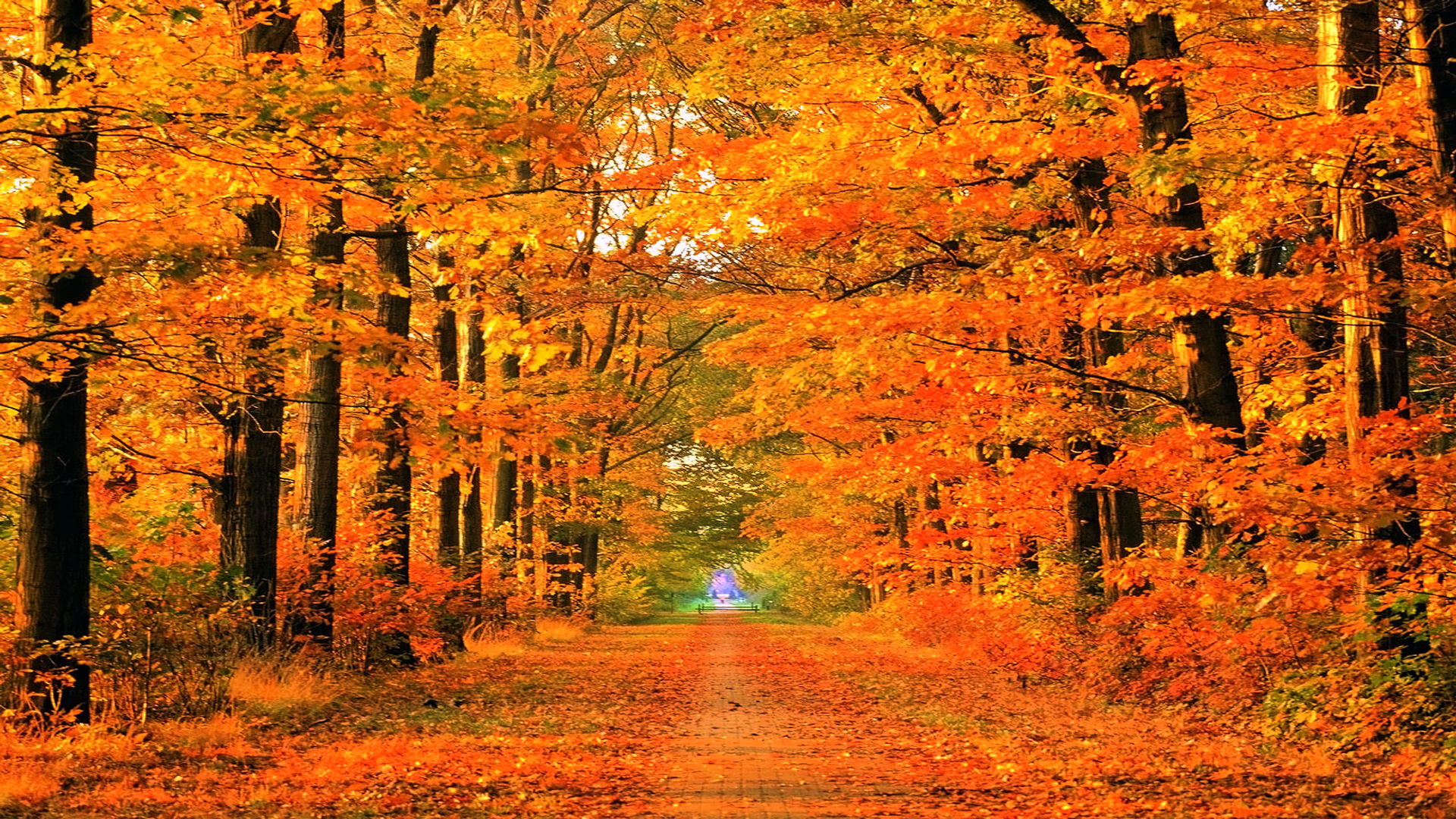 Fall Autumn Desktop Wallpaper HD Pix