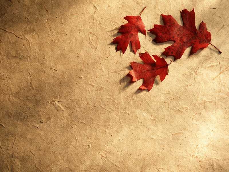 Autumn or Fall free photographic computer desktop wallpaper for