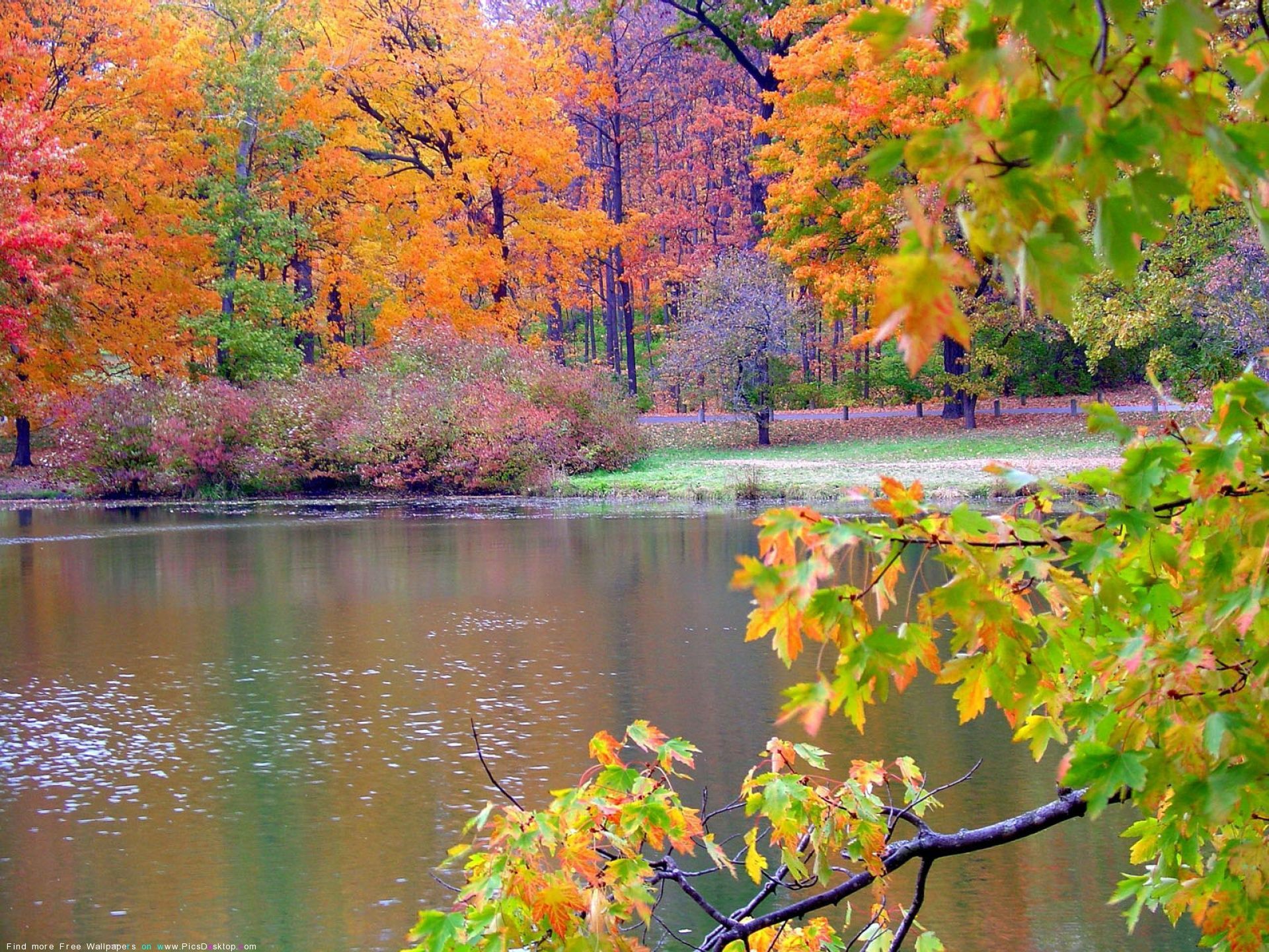 Autumn Nature Wallpaper Desktop - wallpaper
