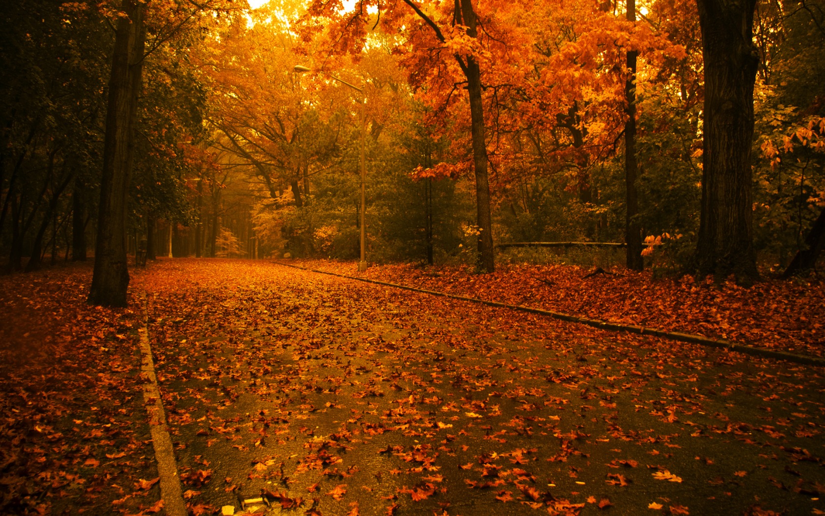 Autumn road desktop backgrounds | danasrfc.top