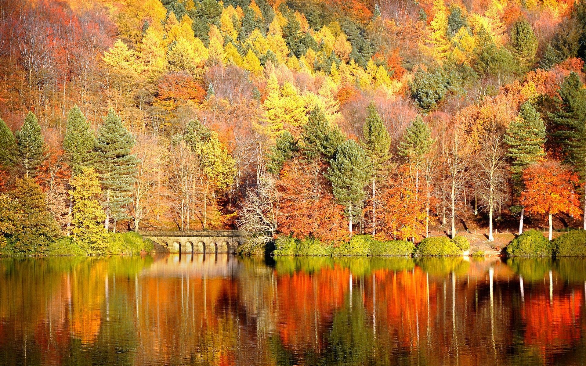 Beautiful Autumn Desktop Wallpaper - New HD Wallpapers