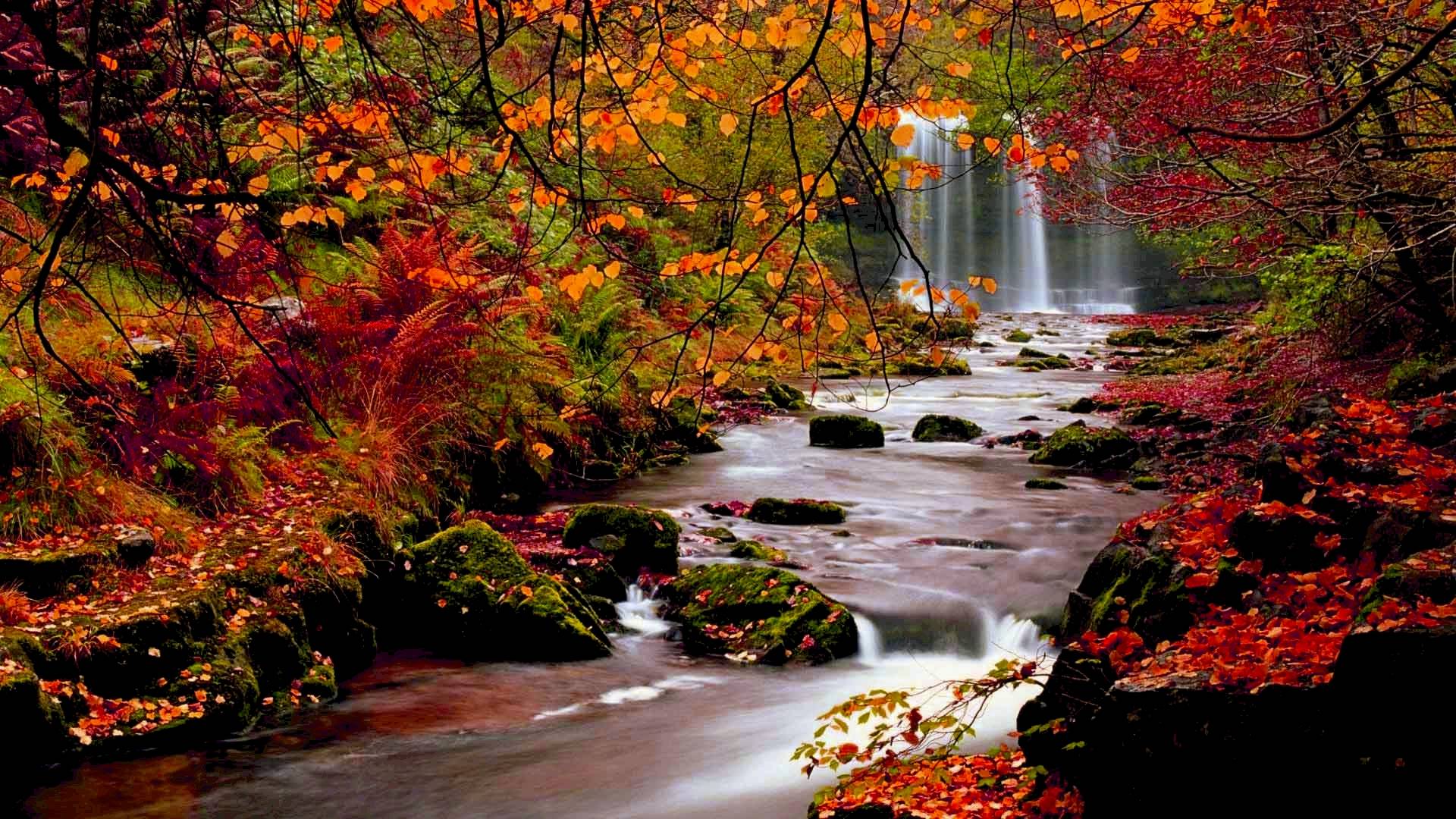 Fall Backgrounds - Wallpaper Cave