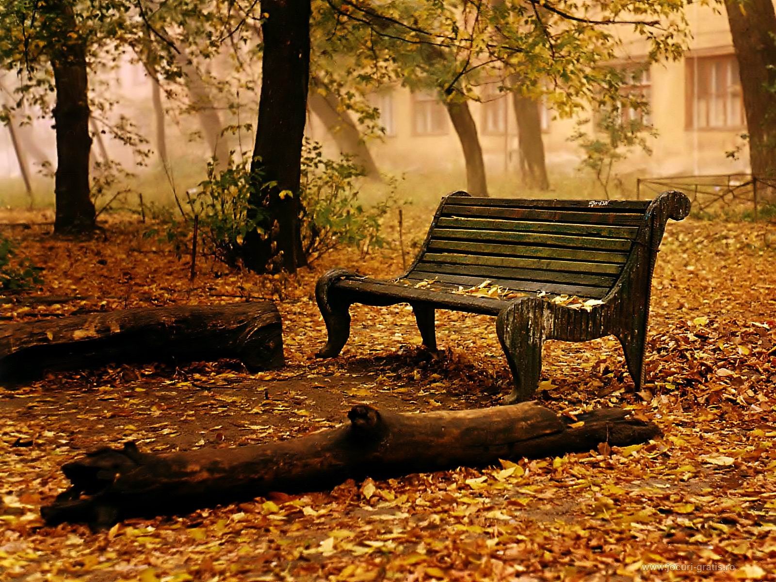 Autumn desktop background | danasrfa.top