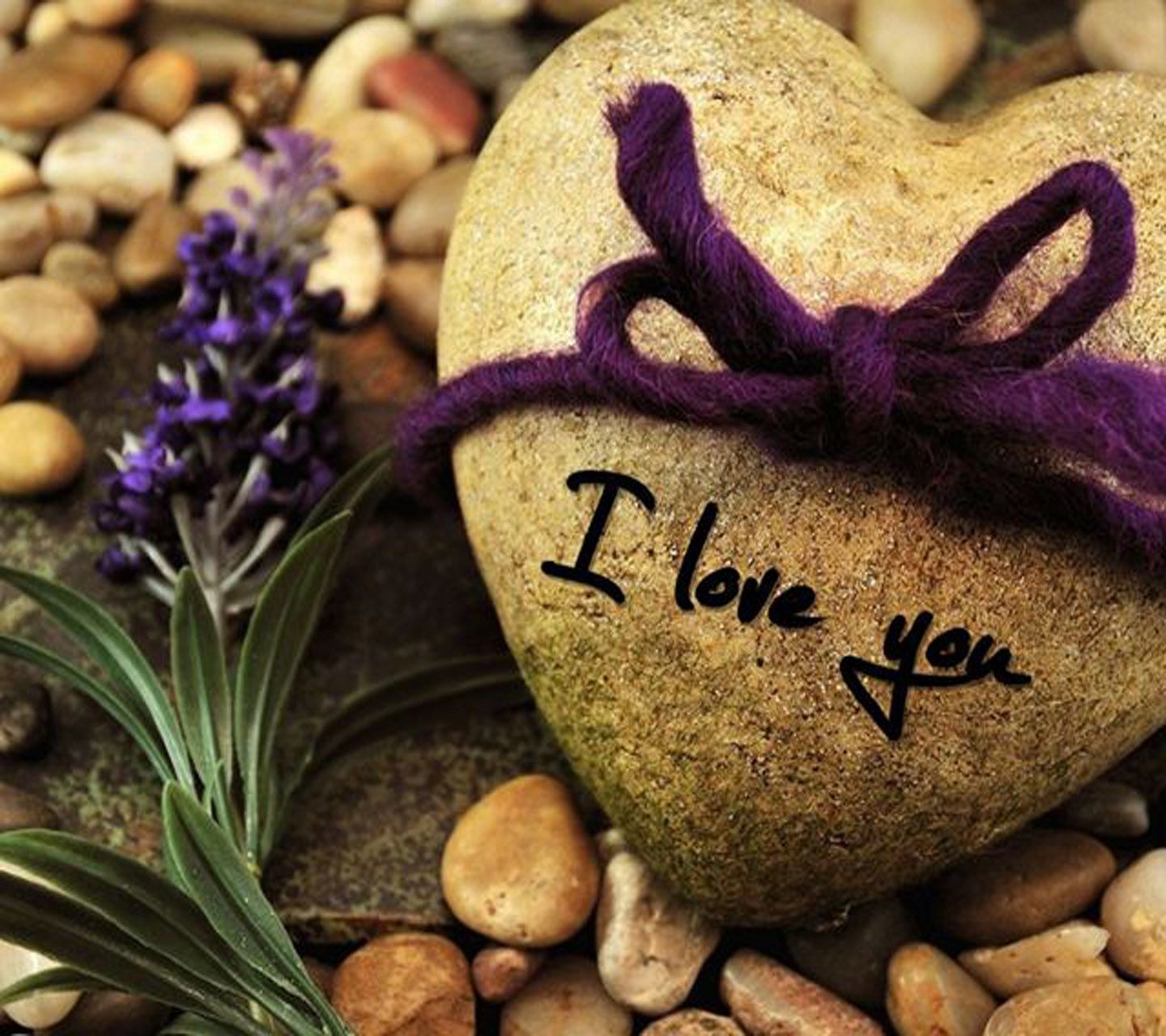 Free Love Wallpaper HD Obtain - HD Images New