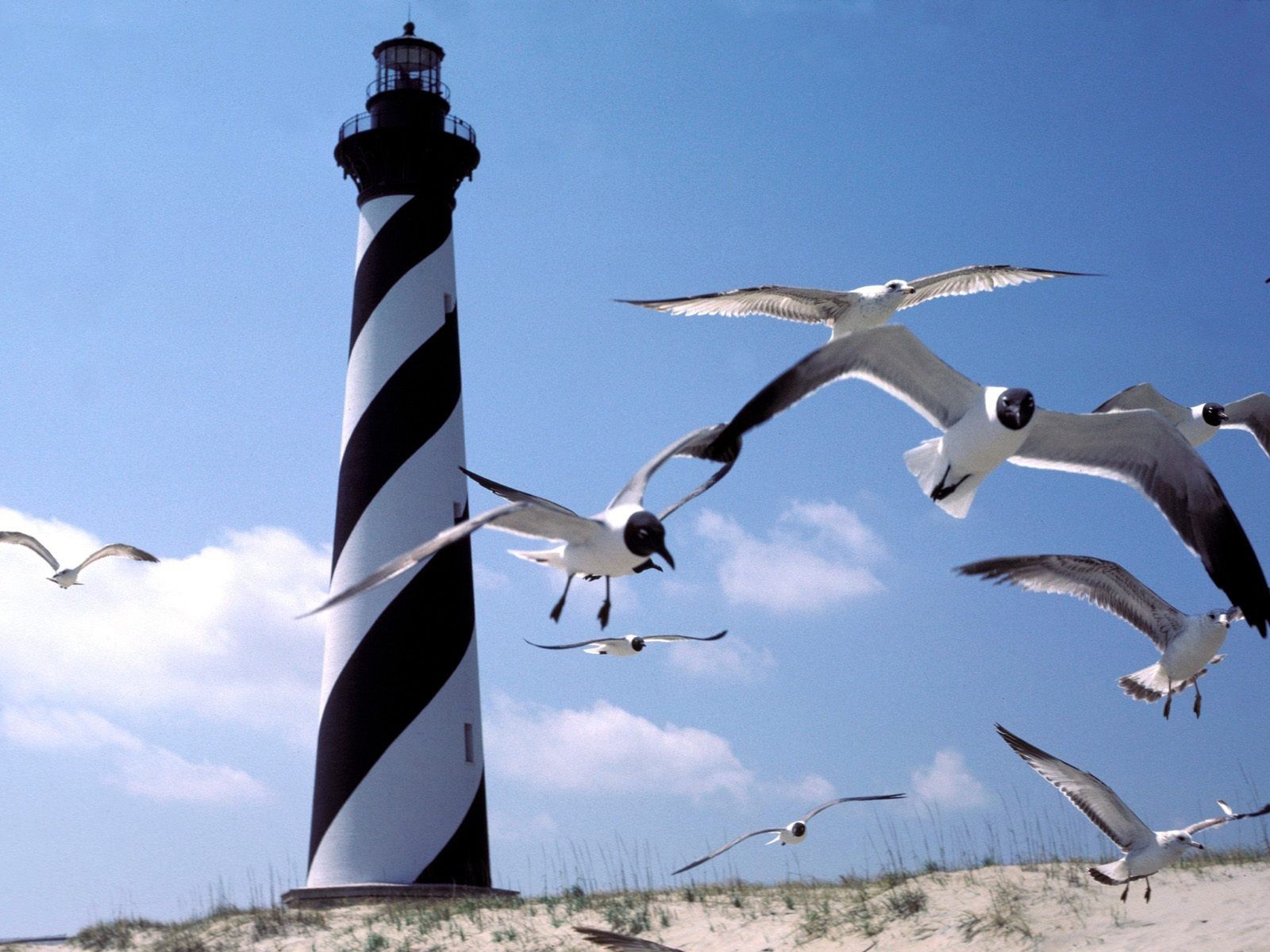 Lighthouses: Untitled North Carolina Cape Hatteras Lighthouse ...