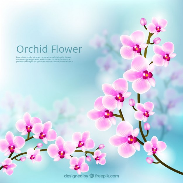 Flower Background Vectors, Photos and PSD files | Free Download