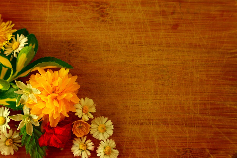 Free stock photo: Flower, Background, Yellow, Blossom - Free Image ...