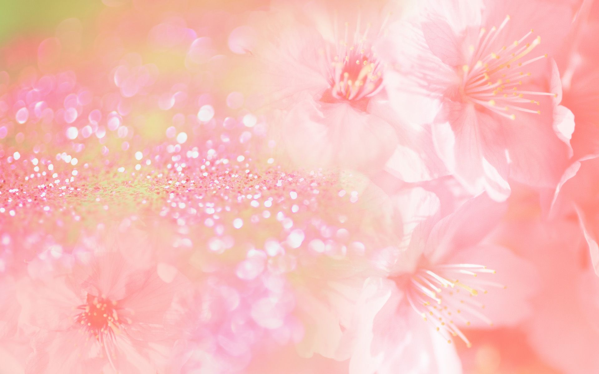 Pink flower background wallpaper | 1920x1200 | #31356