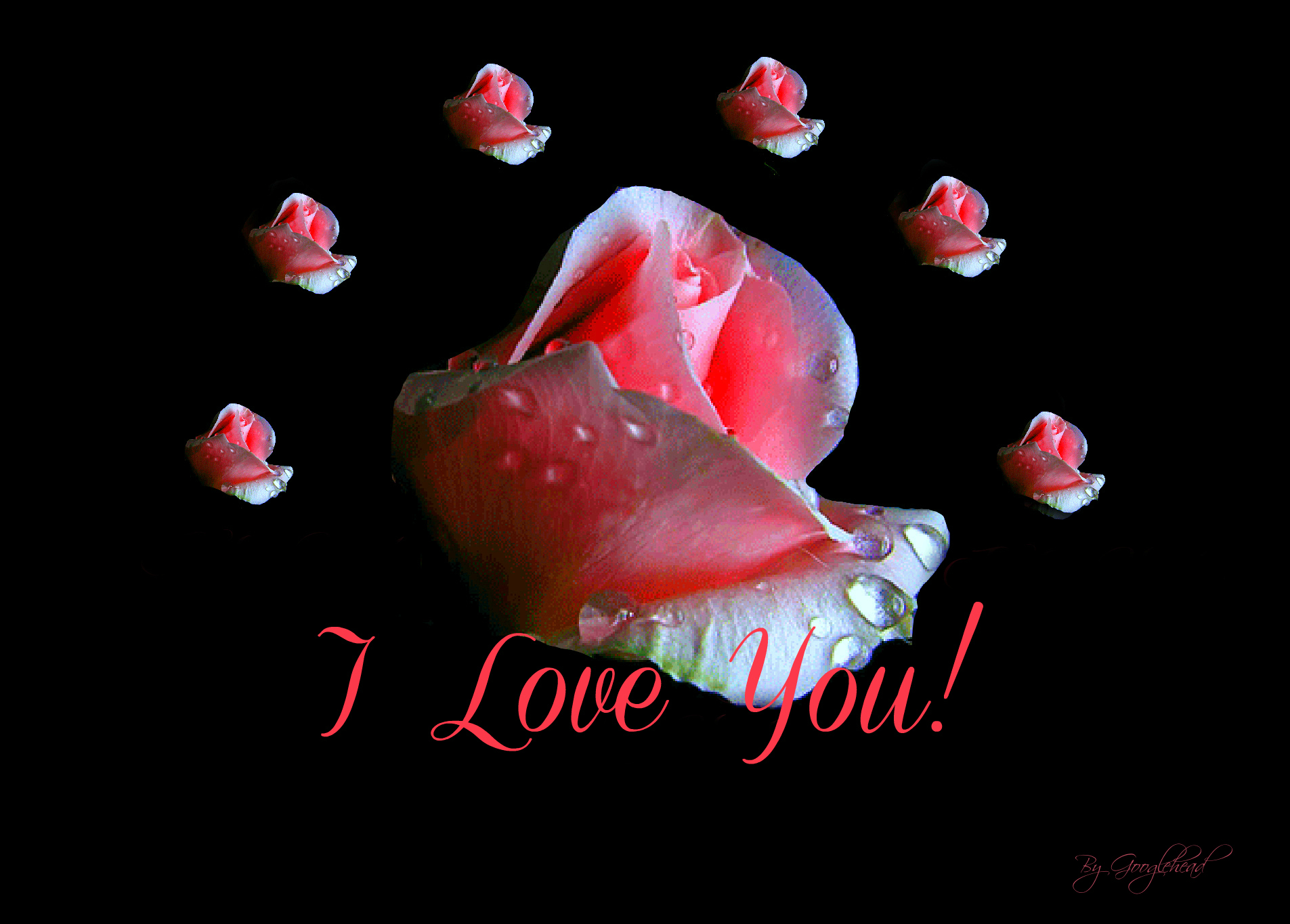 Flower I Love You Wallpaper Wallpapers, Backgrounds, Images, Art