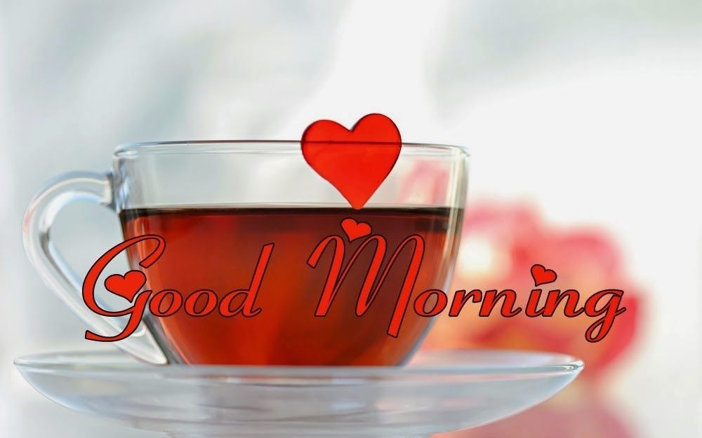 Good morning my love-Good morning-I love you-Have a good day ...