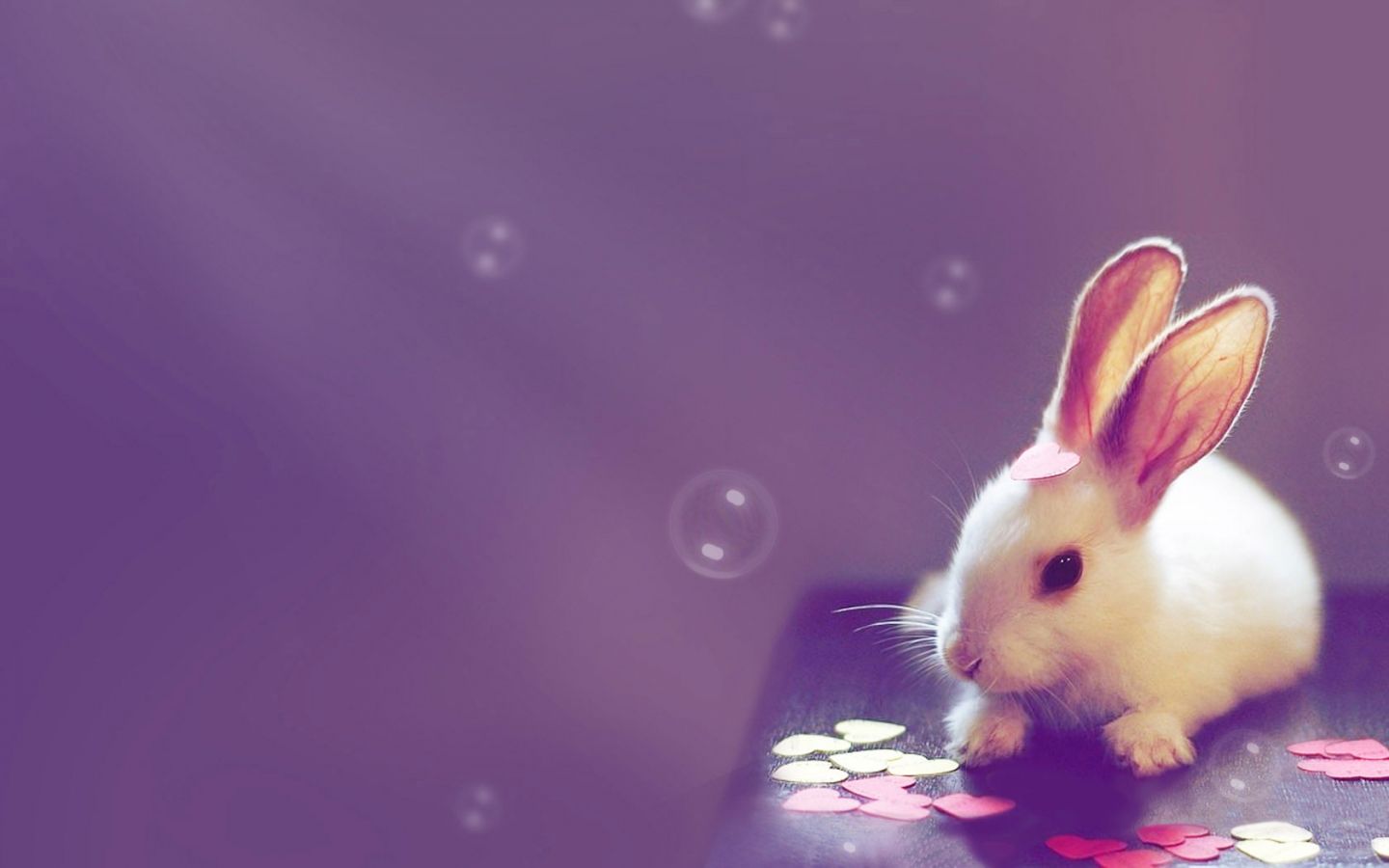 Cute Wallpapers For Desktop Free Download Group (76+)