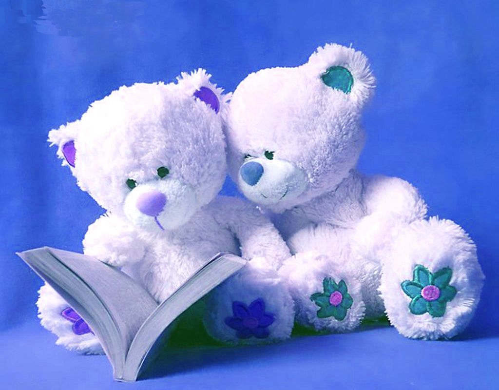 Bears Cute Love Teddy Bear Free Download Hd Wallpapers For Desktop ...