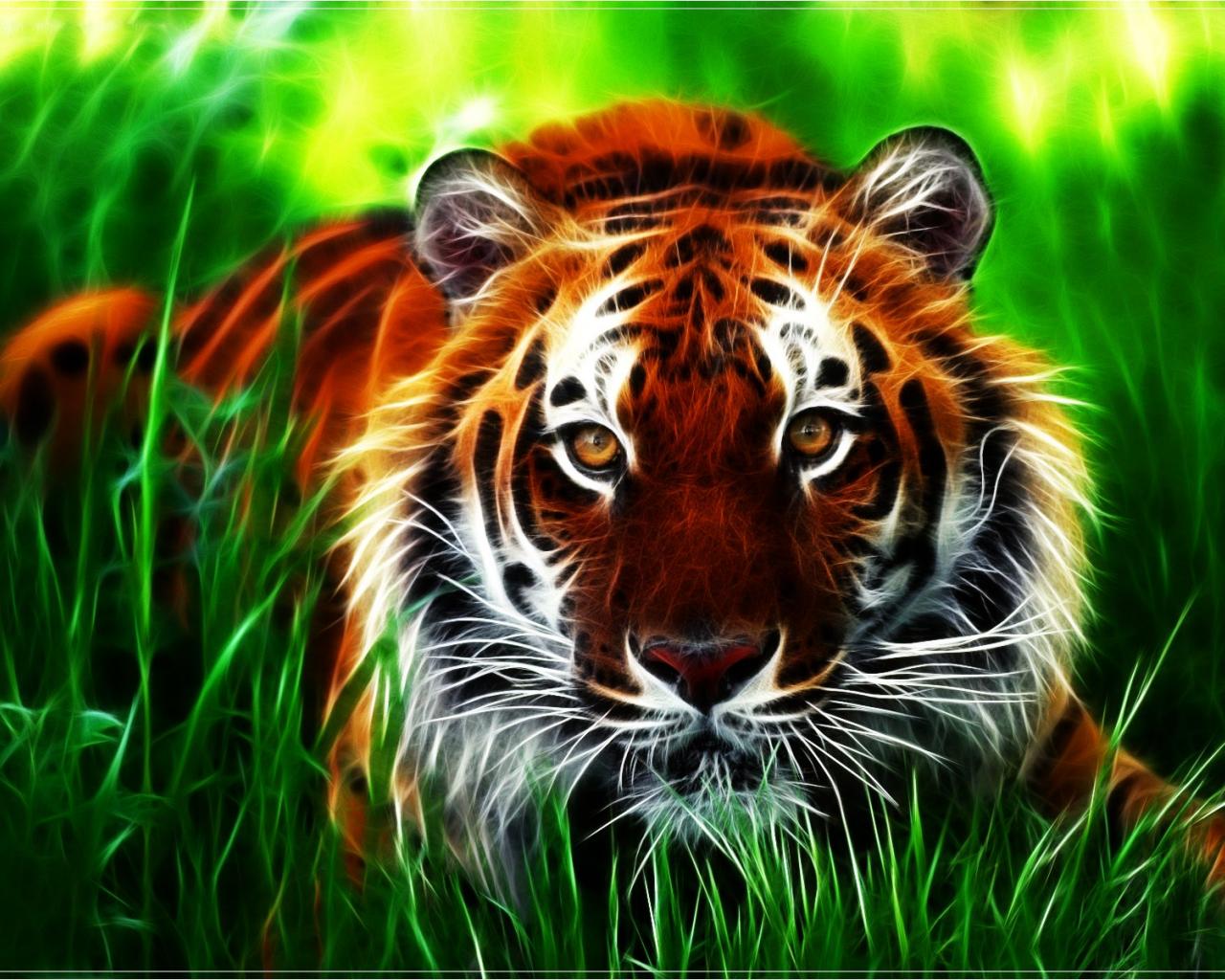 National geographics tiger wallpaper - (#34583) - High Quality and ...
