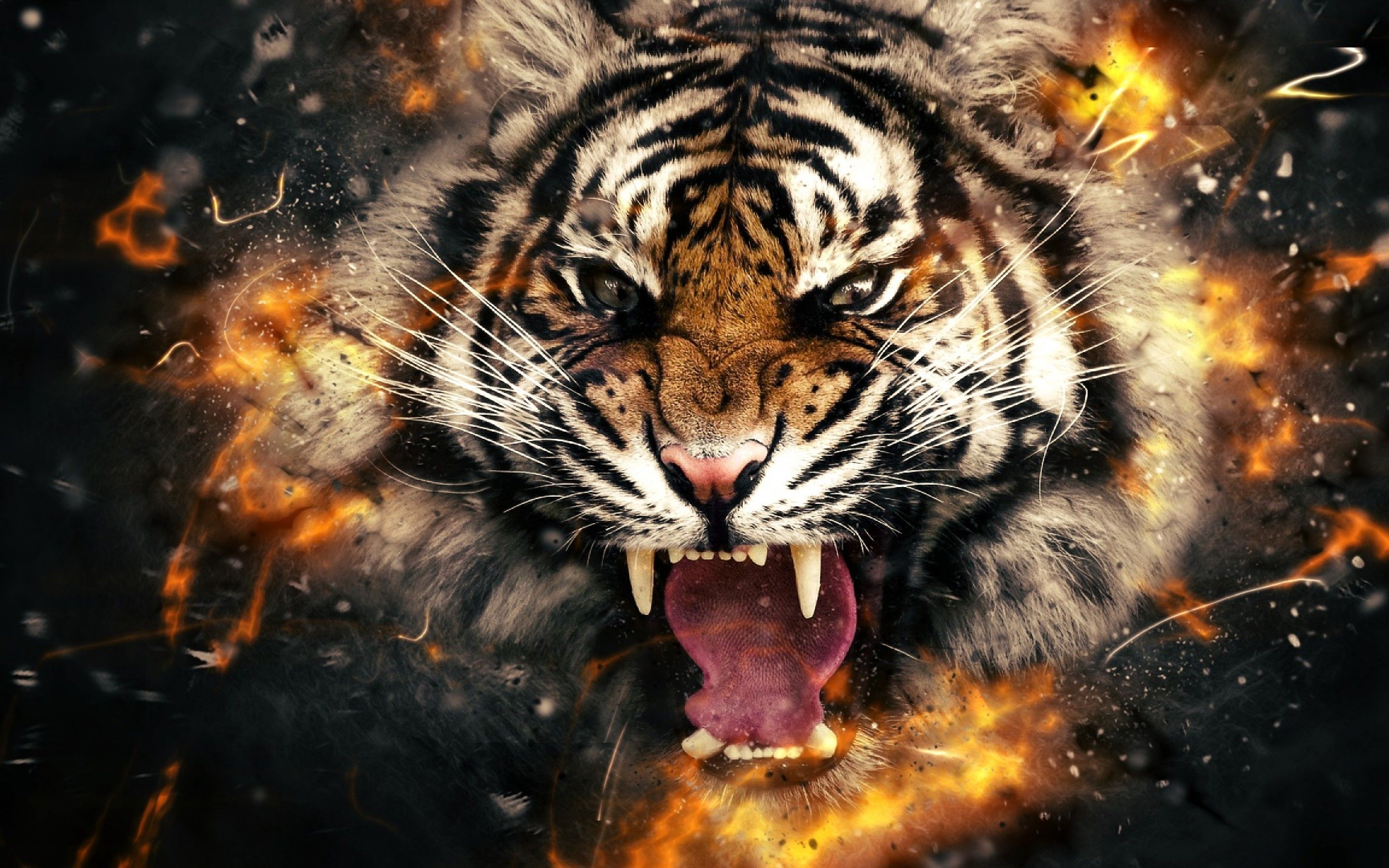 tiger head in fire uhd wallpapers - Ultra High Definition ...